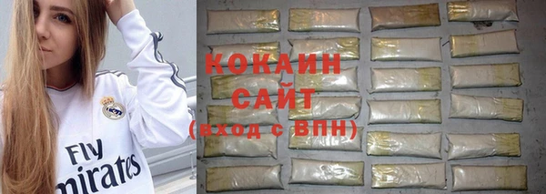 эйфоретик Арсеньев